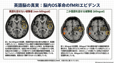 英語脳②