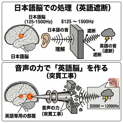 英語脳⑧突貫工事