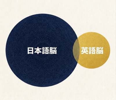言語脳の比較